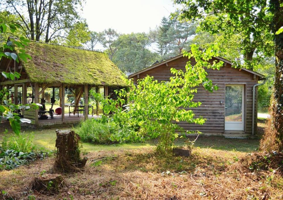 Chalet Cosy Au Coeur De La Foret De Broceliande Beignon Экстерьер фото