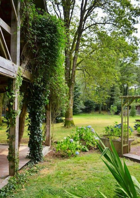 Chalet Cosy Au Coeur De La Foret De Broceliande Beignon Экстерьер фото
